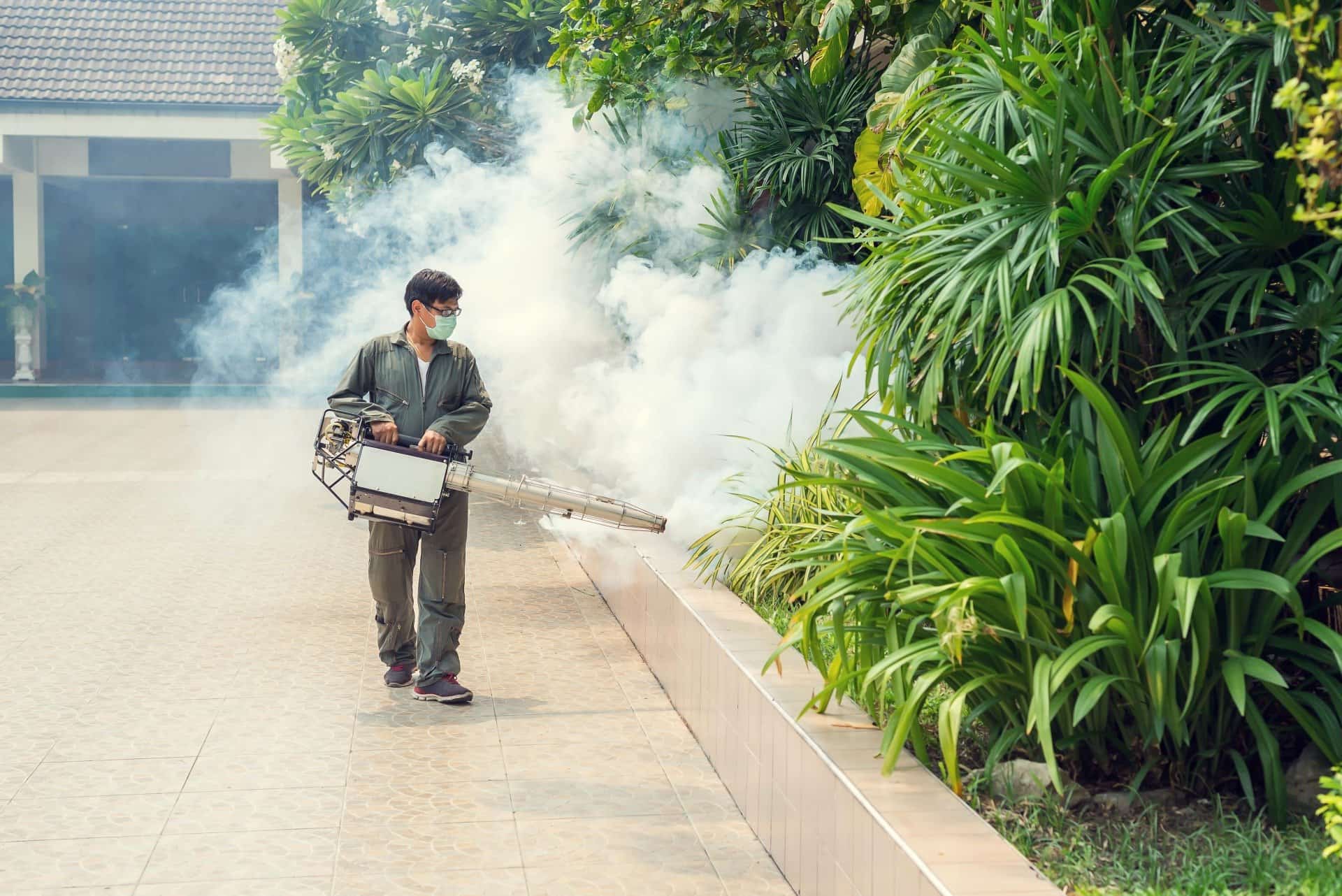 Man Fogging To Eliminate Pests  - Pest Control in Mudgee NSW