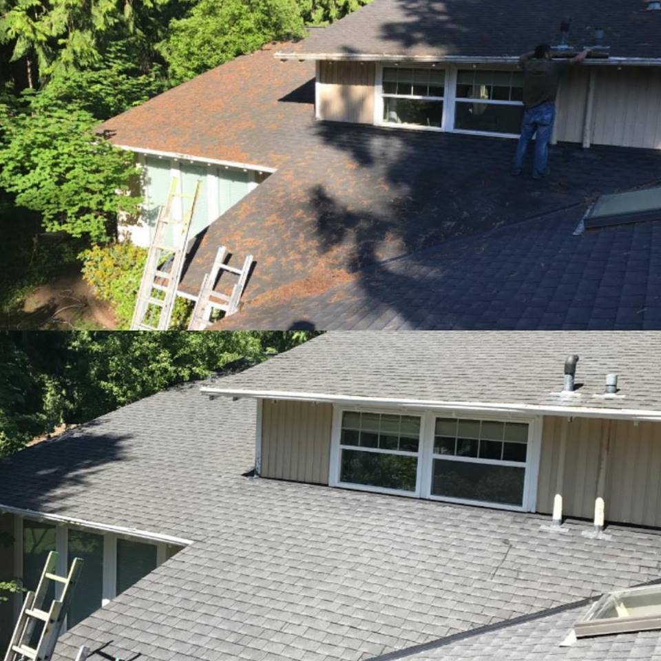 Roof Cleaning — Roof Cleaning Before and After in Seattle, Washington