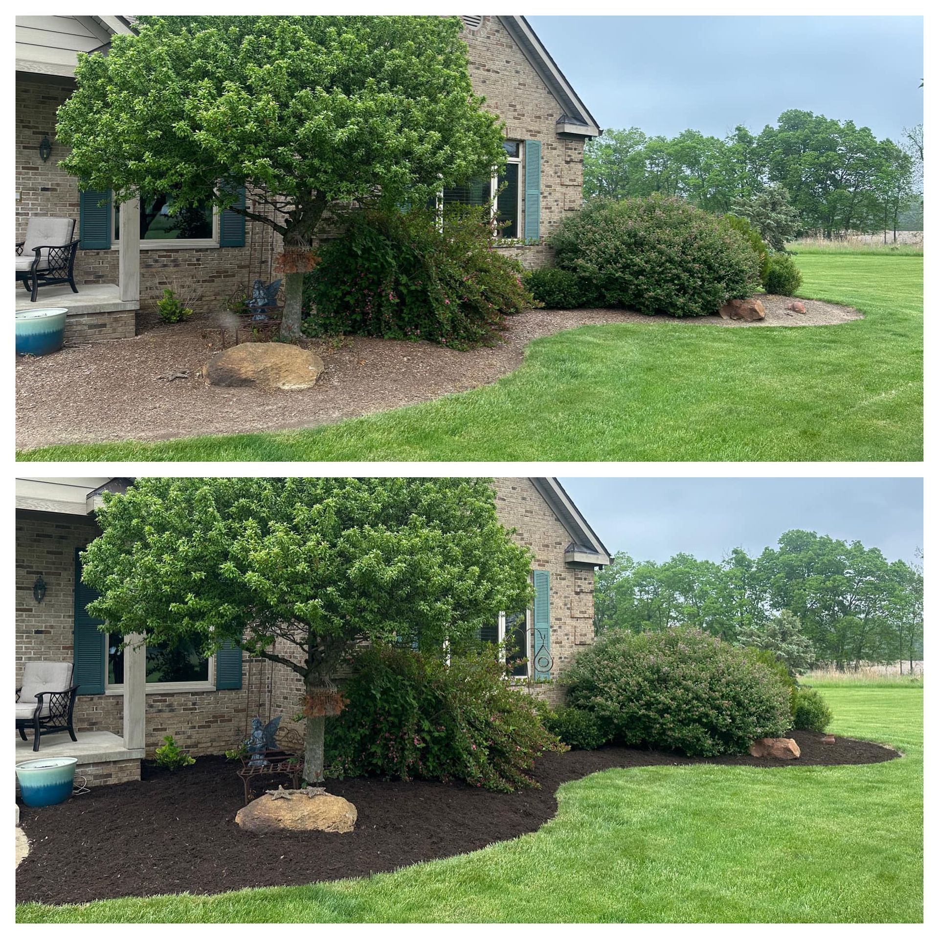 House & Tree Before & After — Champaign, IL — Green Light Landscaping 