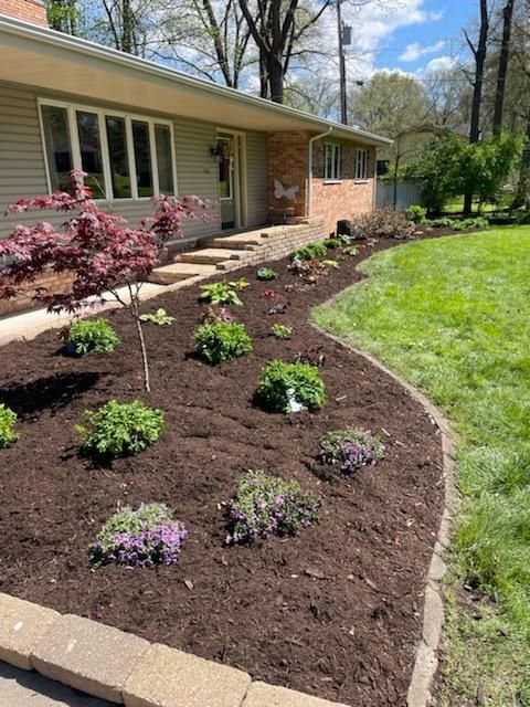 Shrubs After — Champaign, IL — Green Light Landscaping 