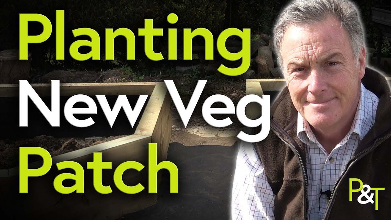 Martin Fish in the new veggie plot with the words