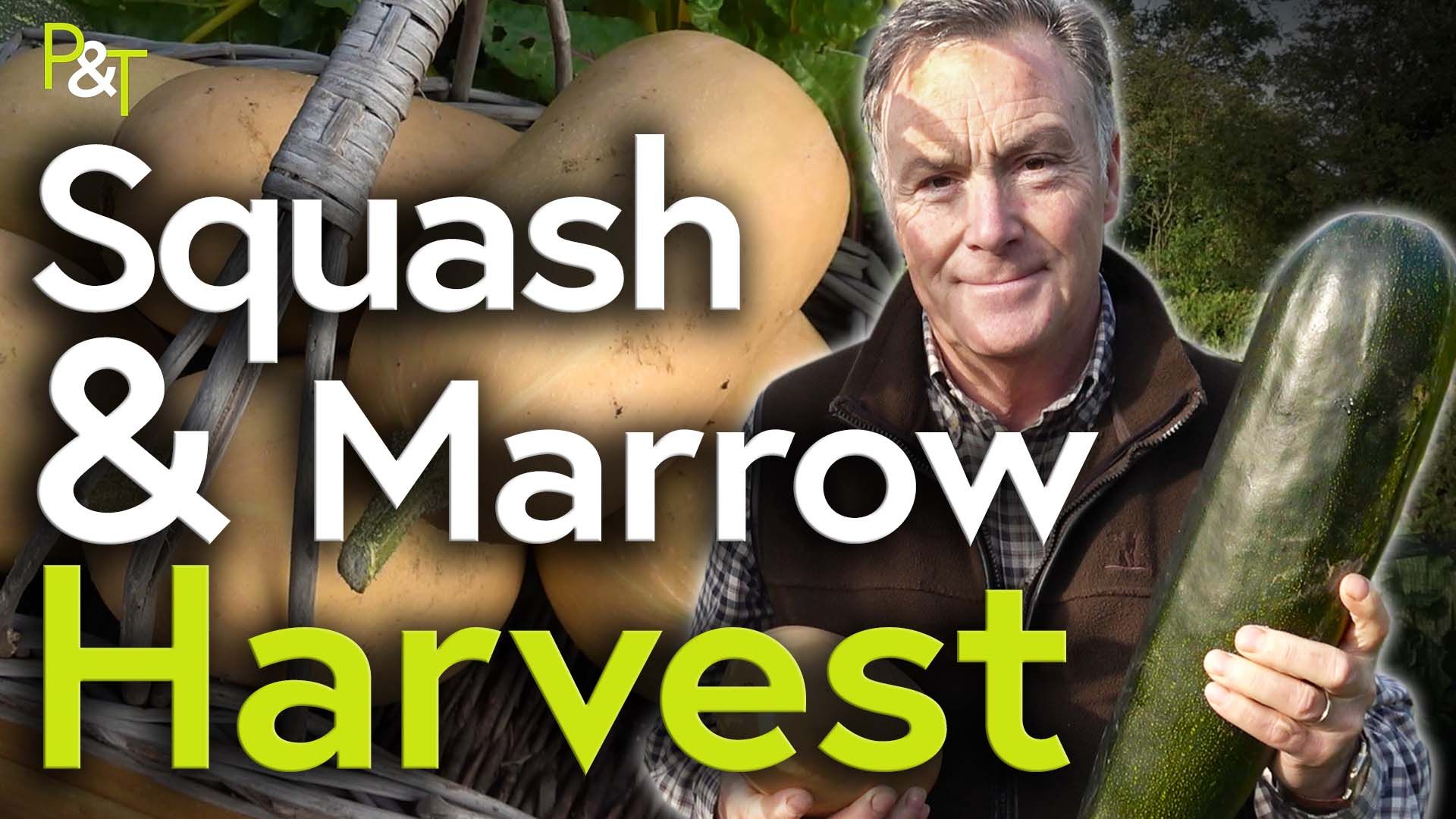 Martin Fish to right of frame holding a marrow. On the left is a closeup of a beige coloured squash vegetable. The text