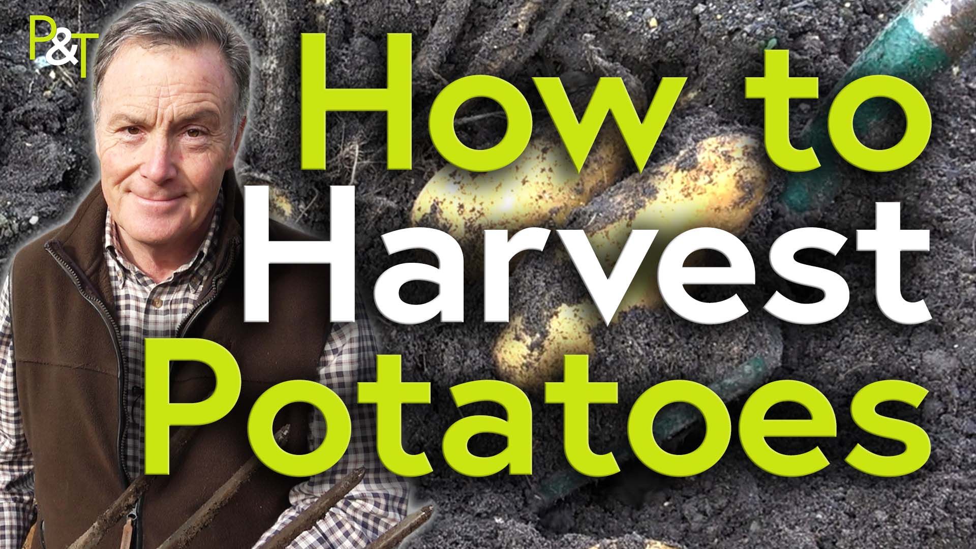 Martin Fish left of frame. Right of frame is a closeup of a garden fork in soil and some potatoes that are being dug up. The text