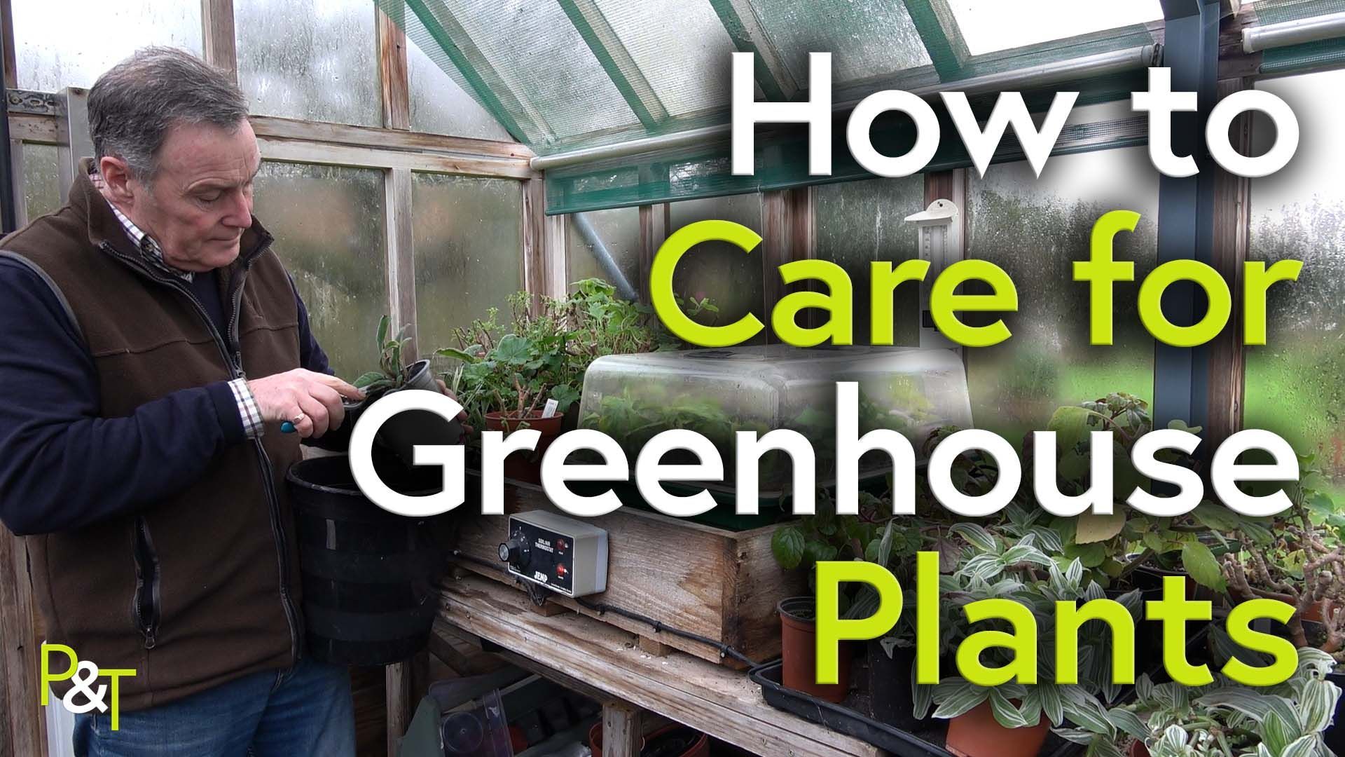 Martin Fish prunes a pot plant in a greenhouse
