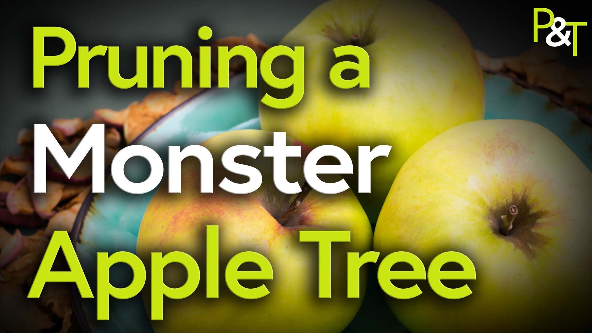 closeup of cooking apples. Text as per episode details