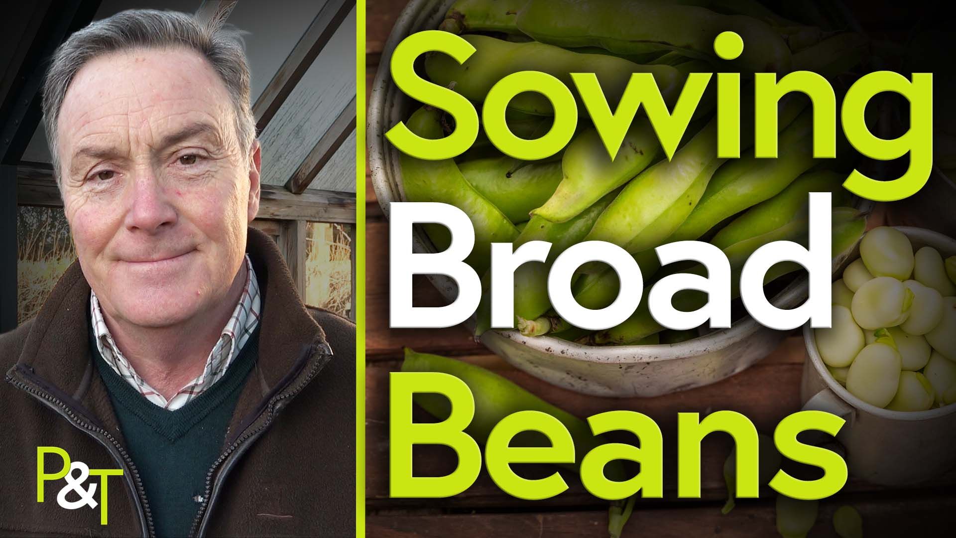 Martin Fish holds a seed packet - and a closeup of some broad beans