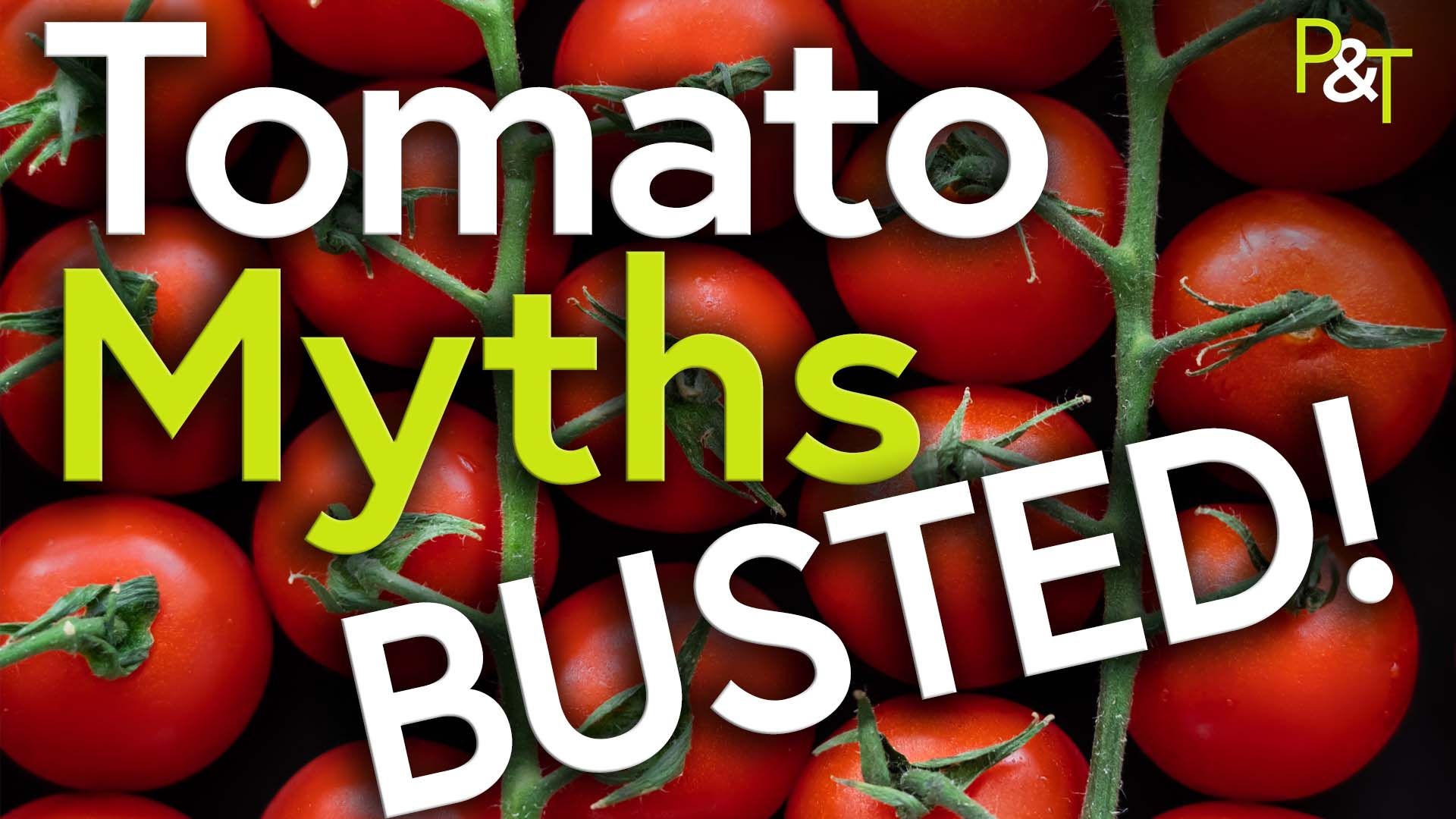 Close up on ripe red vine tomatoes with the text Tomato Myths BUSTED in green and white