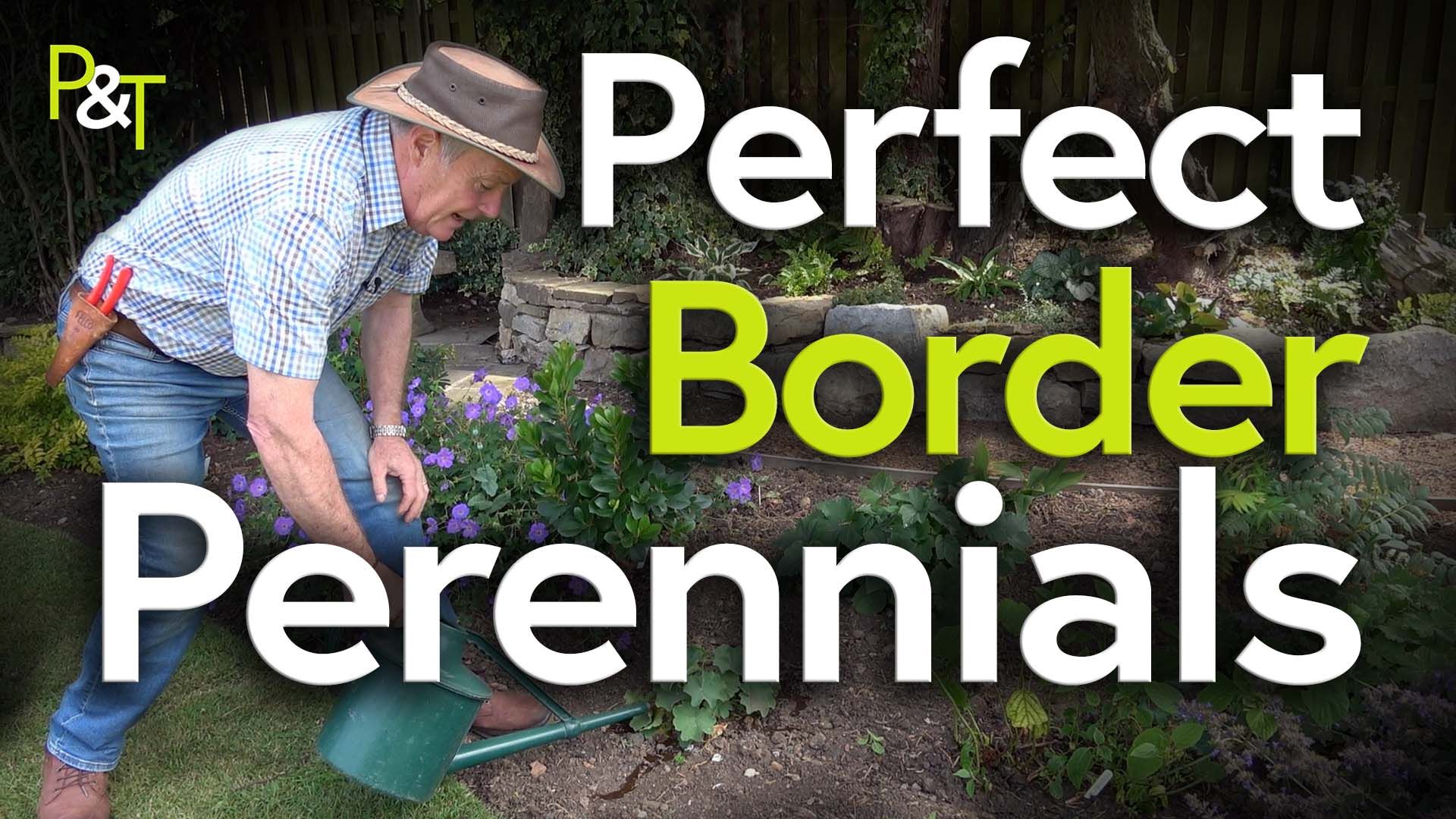 Martin Fish in a hat bent over a flowerbed with a watering can. The text Perfect Border Perennials in green and white.