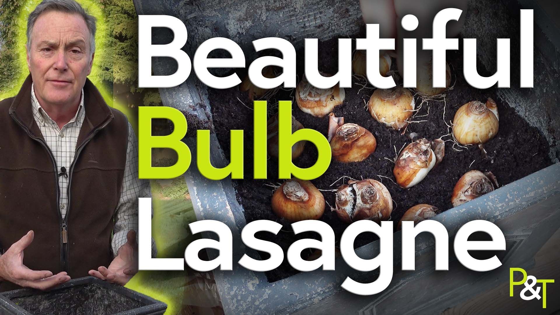 Left of frame - Martin Fish - right of frame a closeup of some bulbs planted in grid formation in a container - the text Beautiful Bulb Lasagne in green and white