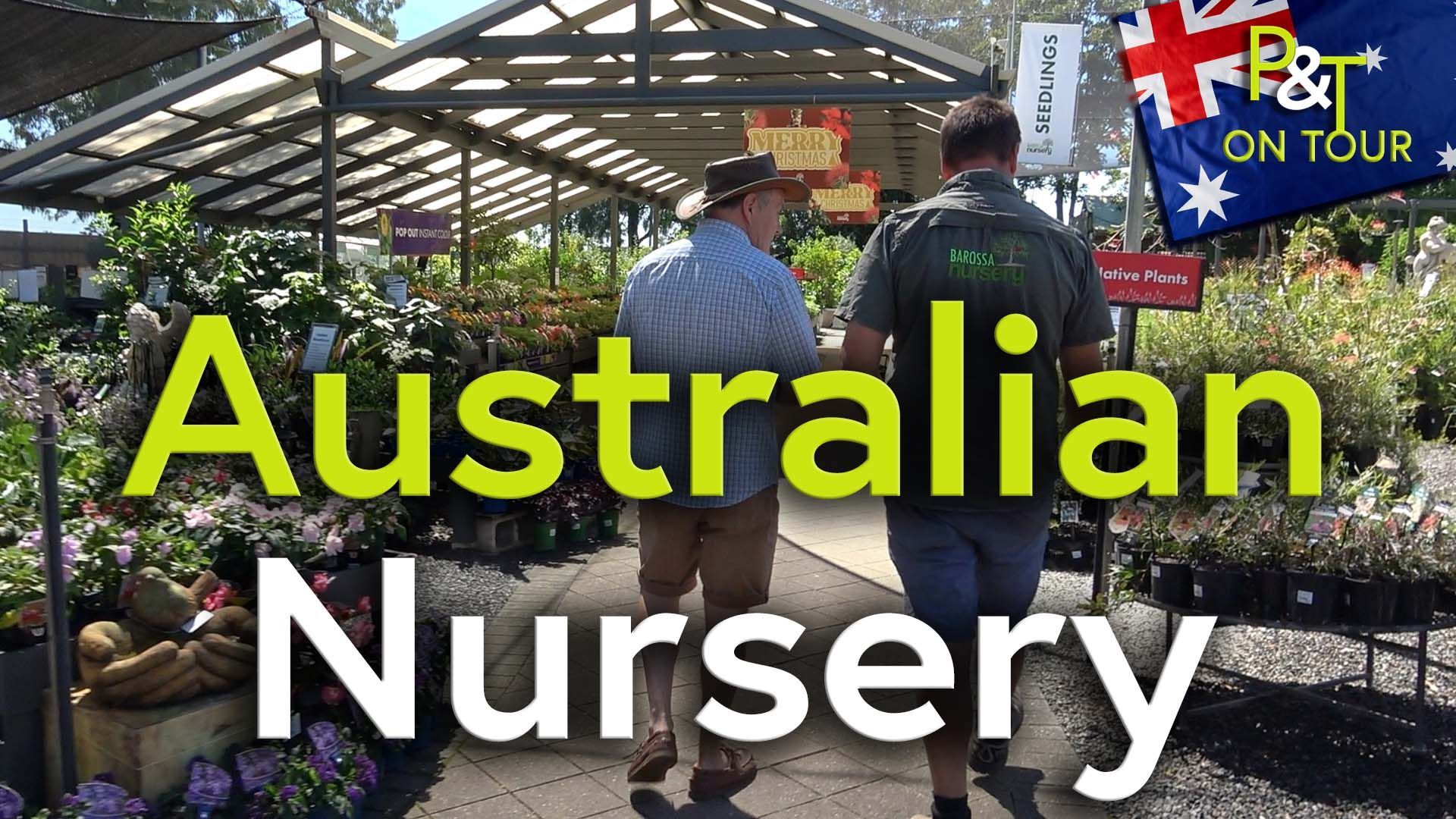 Wide shot inside an Australian garden centre. the roof beams are visible and theres light coming through. Two people are walking away from camera between aisles of plants. The text Australian Nursery is in green and white plus a small Australian flag in the top left corner and the text P and T on tour.