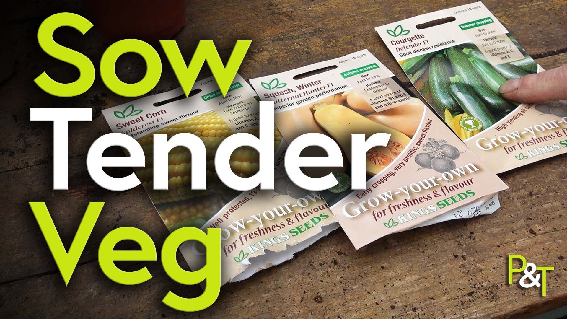 closeup of three seed packets for sweetcorn, winter squash and courgettes on a wooded potting bench. The text Sow Tender Veg in green and white letters over the top