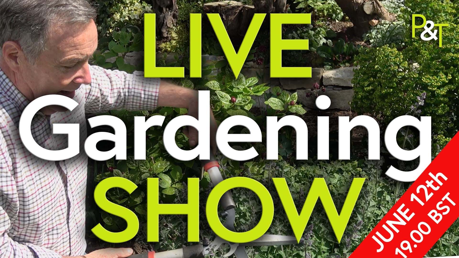 Martin with his secateurs in the PT HQ garden. The test LIVE Gardening SHOW in green and white lettering.