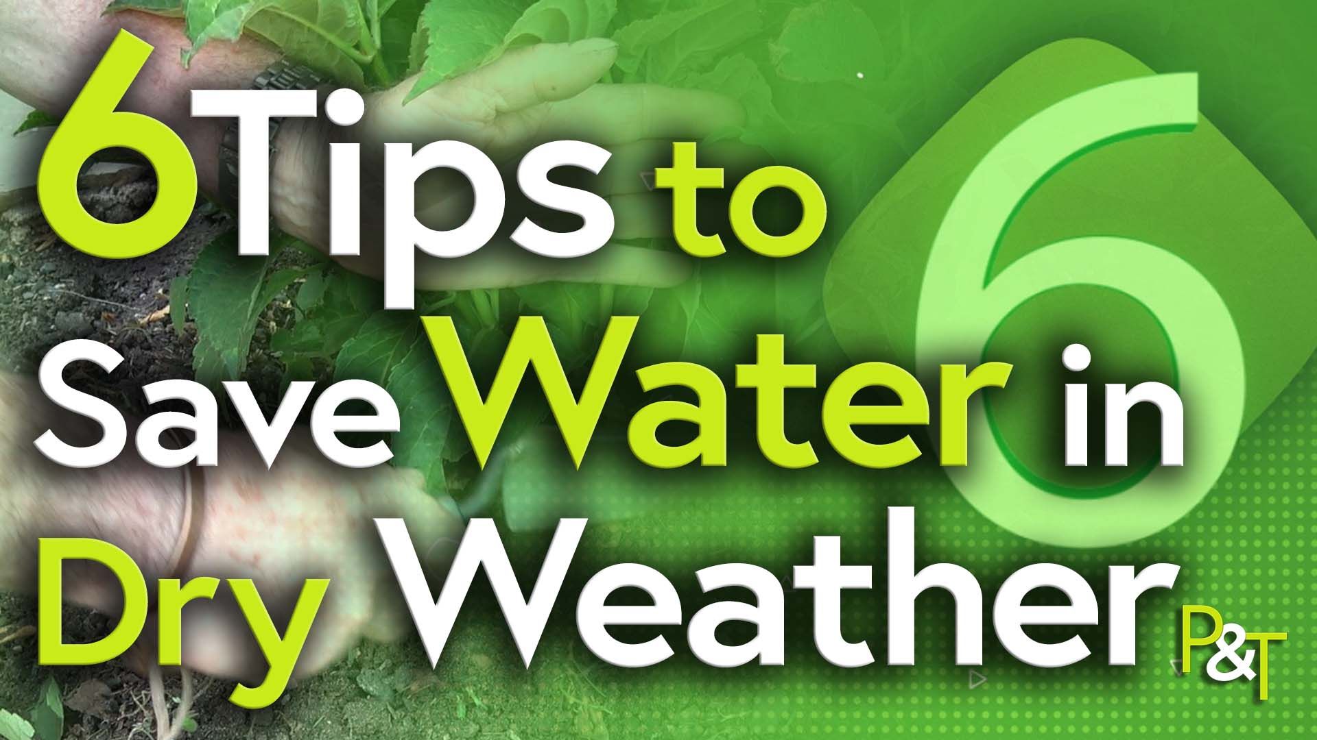 Largely green background with a large number six on the right of frame - background on the left of frame has a closeup of some hands doing something in soil with a trowel but it's unclear what. Theres the text Tips to Save Water in Dry Weather but by the time you read this I may have changed it to say tips to save your plants in dry weather.