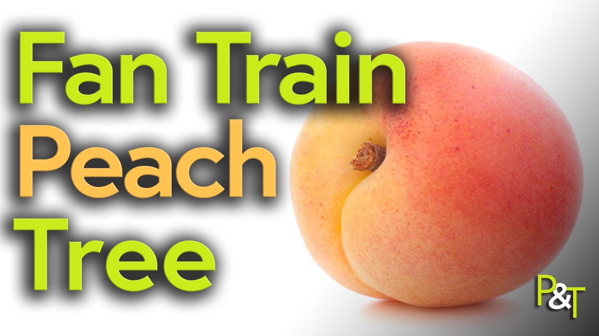 Closeup of a ripe peach on a white background alongside text in green and white and peach colours saying Fan Train a Peach Tree