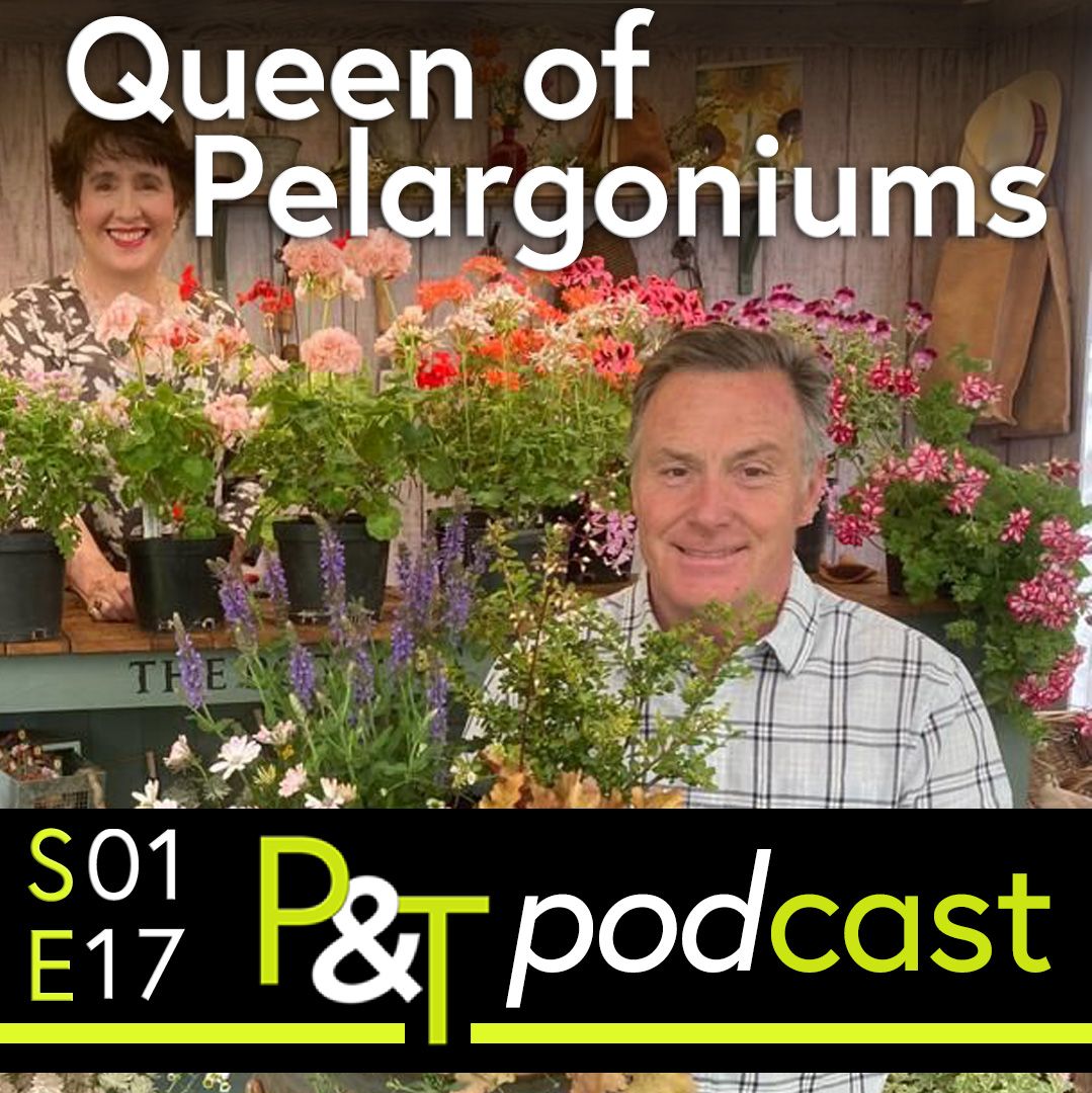 Helen behind some pelargoniums and Martin in front holding one in a pot. Text of the title and episode number as well as the PT logo