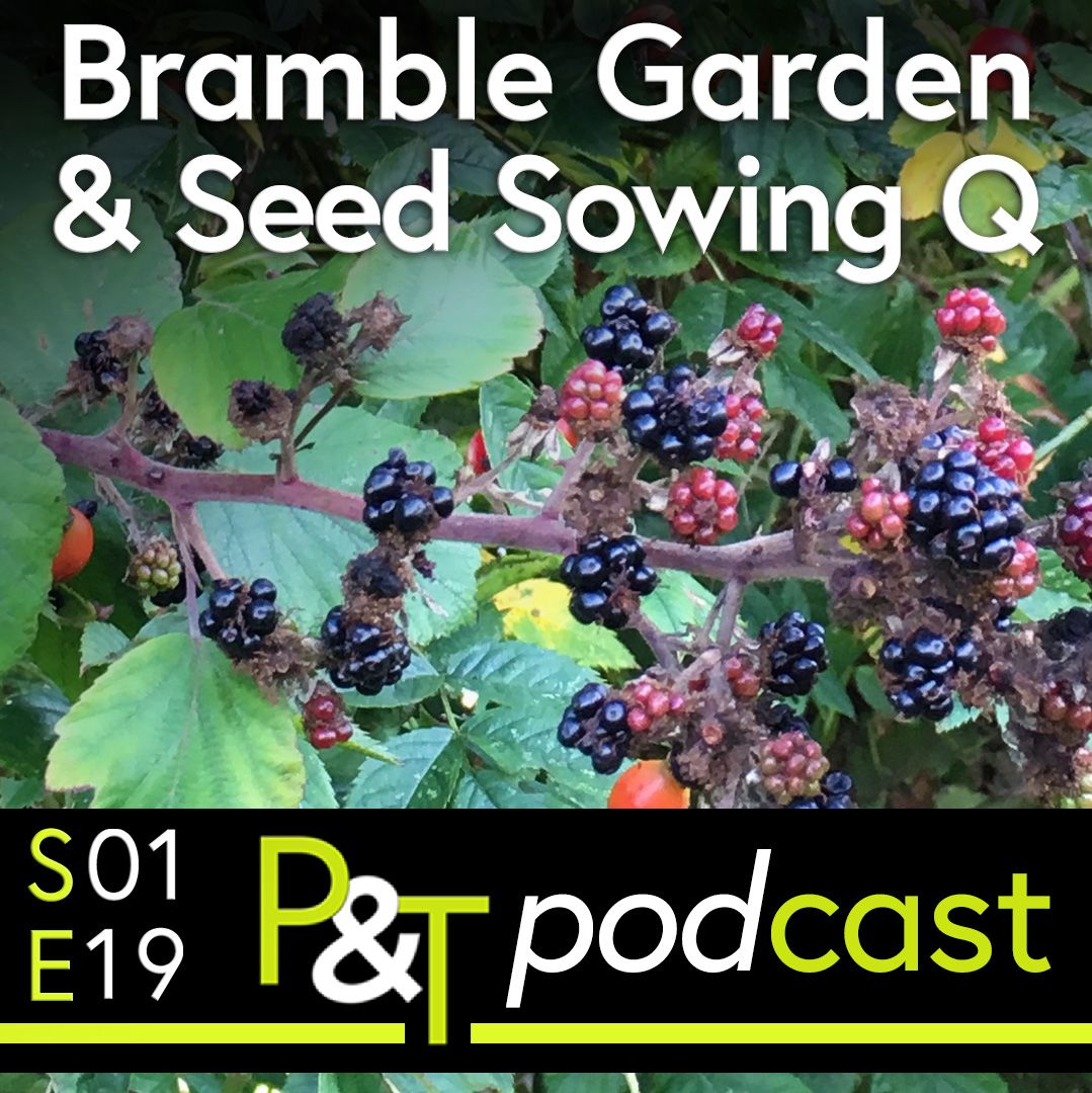 Blackberries on a bramble. The text Bramble Garden and Seed Sowing with the PT logo and episode details in green and white