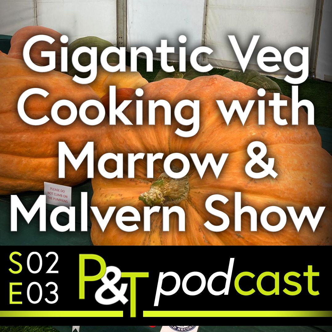Table of gigantic orange pumpkins at Malvern show. The text Gigantic Veg, Cooking with Marrow and Malvern Show in white with the PT logo and episode details in green and white.