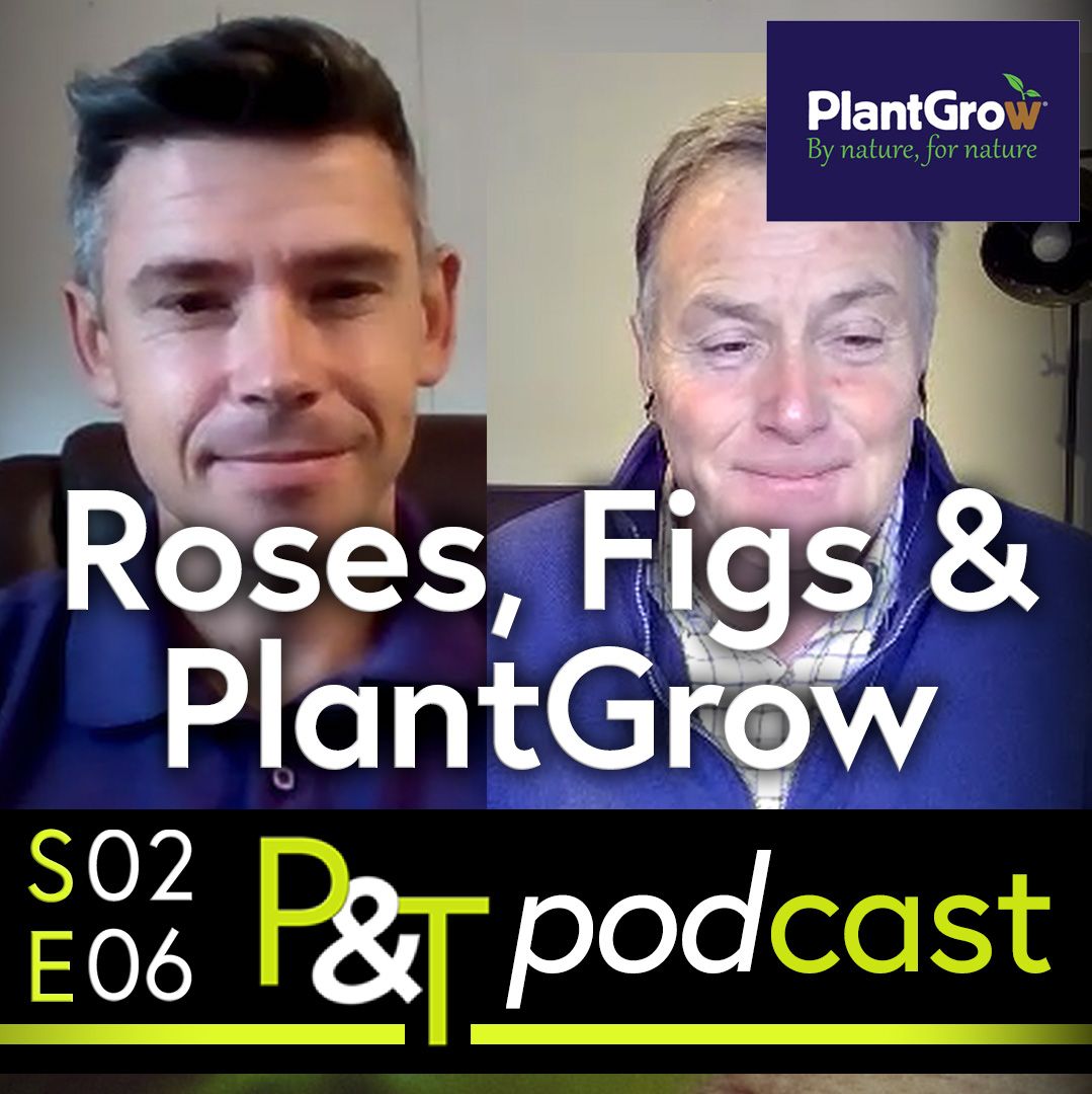 Daniel from PlantGrow and Martin Fish on a Video call - the text Roses, Figs and PlantGrow in white and the episode details and PT logo in green and white.