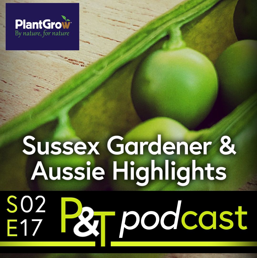 closeup of green peas in a pod with the text Sussex Gardener and Aussie Highlights in white. The plantgrow logo top left and the text and info of the episode number at the bottom with the PT logo and the text Podcast in green and white.