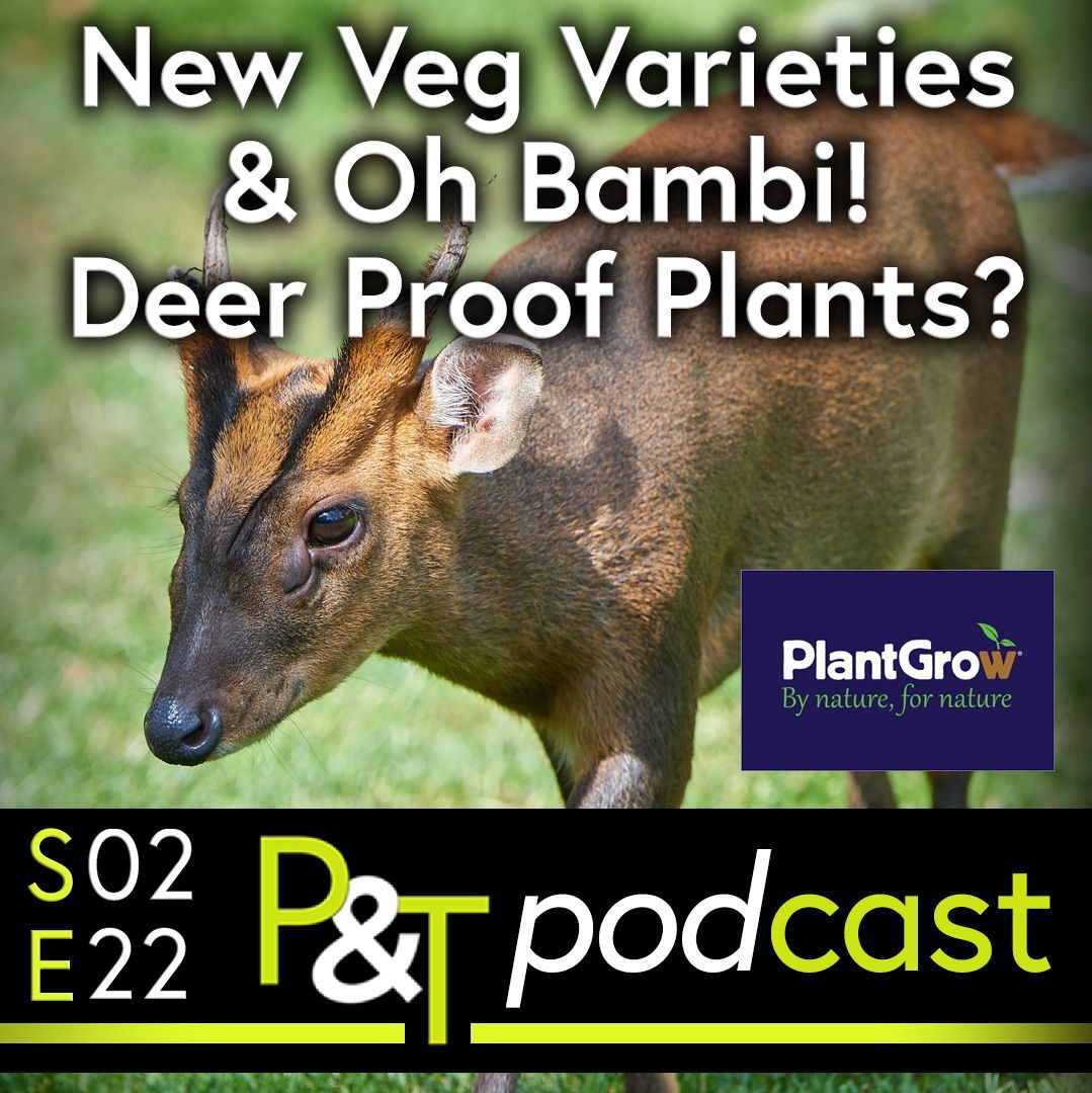 A young deer on grassland with the text New Veg Varieties and Oh Bambi Deer Proof Plants in white. The logo and episode details in green and white.