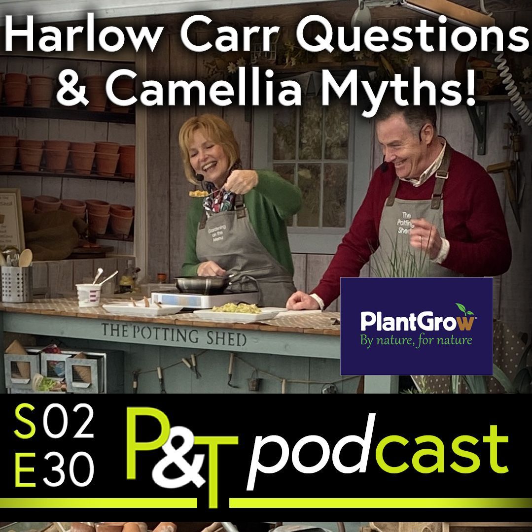 Martin and Jill Fish on the Potting Shed Stage at RHS Harlow Carr doing a demonstration. Both wear aprons and are involved in a practical cooking demonstration. the text Harlow Carr Questions and Camellia Myths  and PT logo in green and white