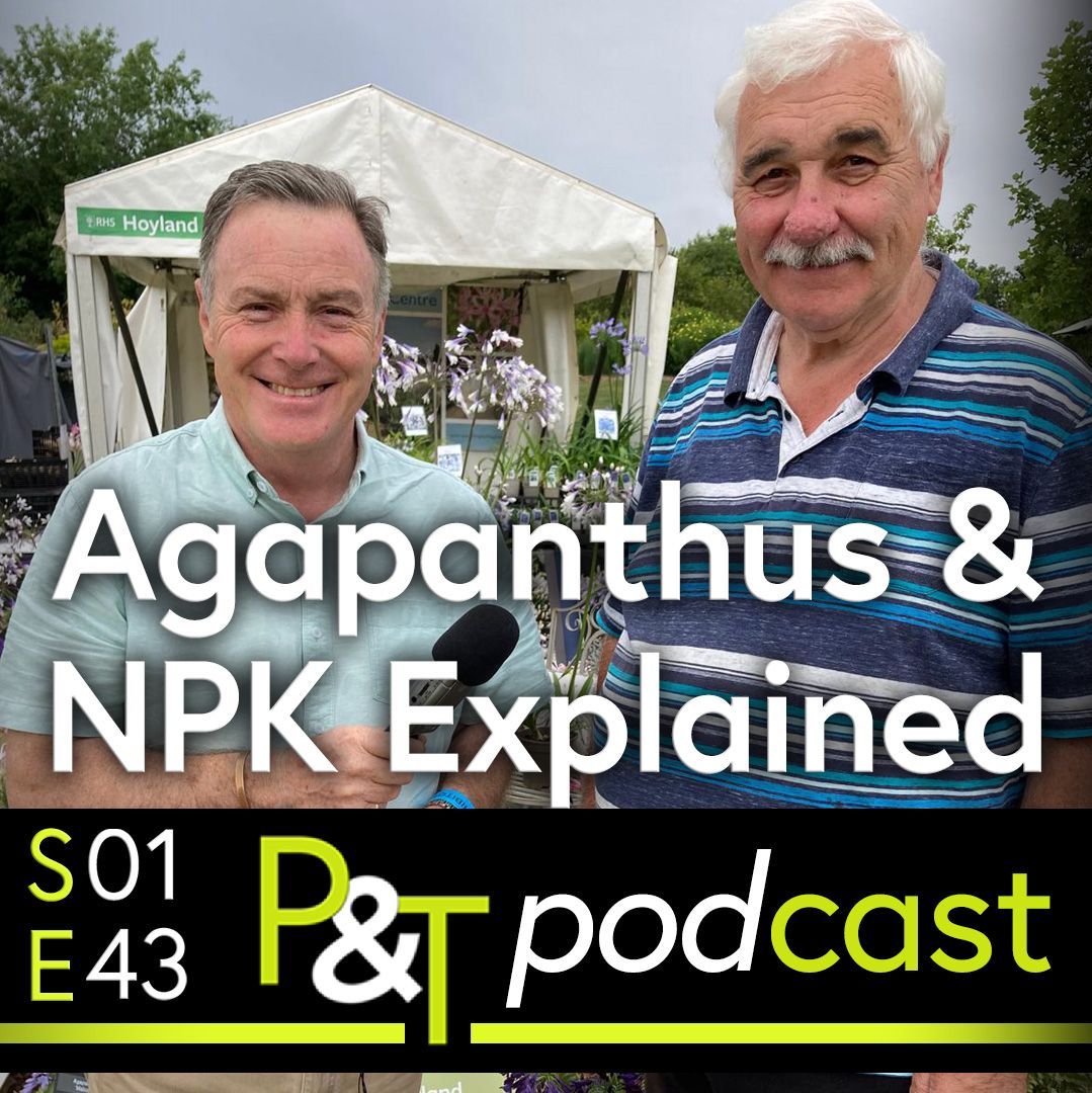 Martin Fish and Steve Hickman standing in front of a gazebo at a flower show. The text Agapanthus and NPK Explained and the PT logo and details of the episode etc in green and white