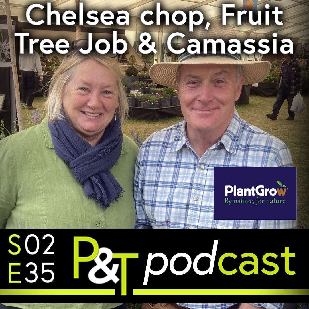 Host Martin Fish and Stella Exeley from Hare Spring Cottage Plants standing at RHS Malvern Spring Festival. Martin wears a blue and white chequered shirt and a hat, Stella is in a green jumper and wearing a blue scarf. The text Chelsea Chop, Fruit Tree Job and Camassia in white at the top and the details of the episode and PT logo in green and white on a black background at the bottom of the image.