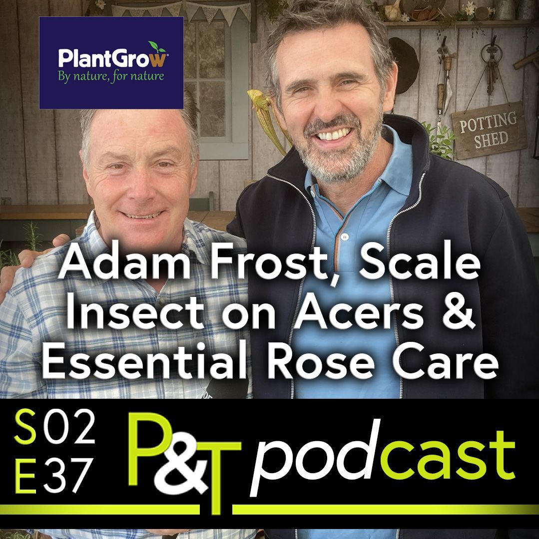 Marrni Fish and Adam Frost stand next to each other on the Potting Shed Stage at Malvern Spring Festival. The text Adam Frost, Scale Insect on Acer and Essential Rose Care on white over the top and the Pots and Trowels logo and episode information in green and white.