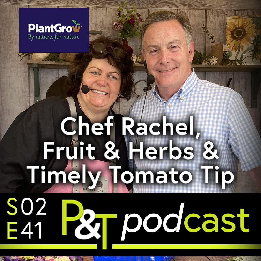 Chef Rachel Green to the left stands next to gardener Martin Fish on the right. Both have headset microphones on and are standing on the potting shed stage, a mobile stage which visits the garden and flower shows around the UK. The text Chef Rachel, Fruit And Herbs and Timely Tomato Tip in white text plus the PT logo and episode details in green.