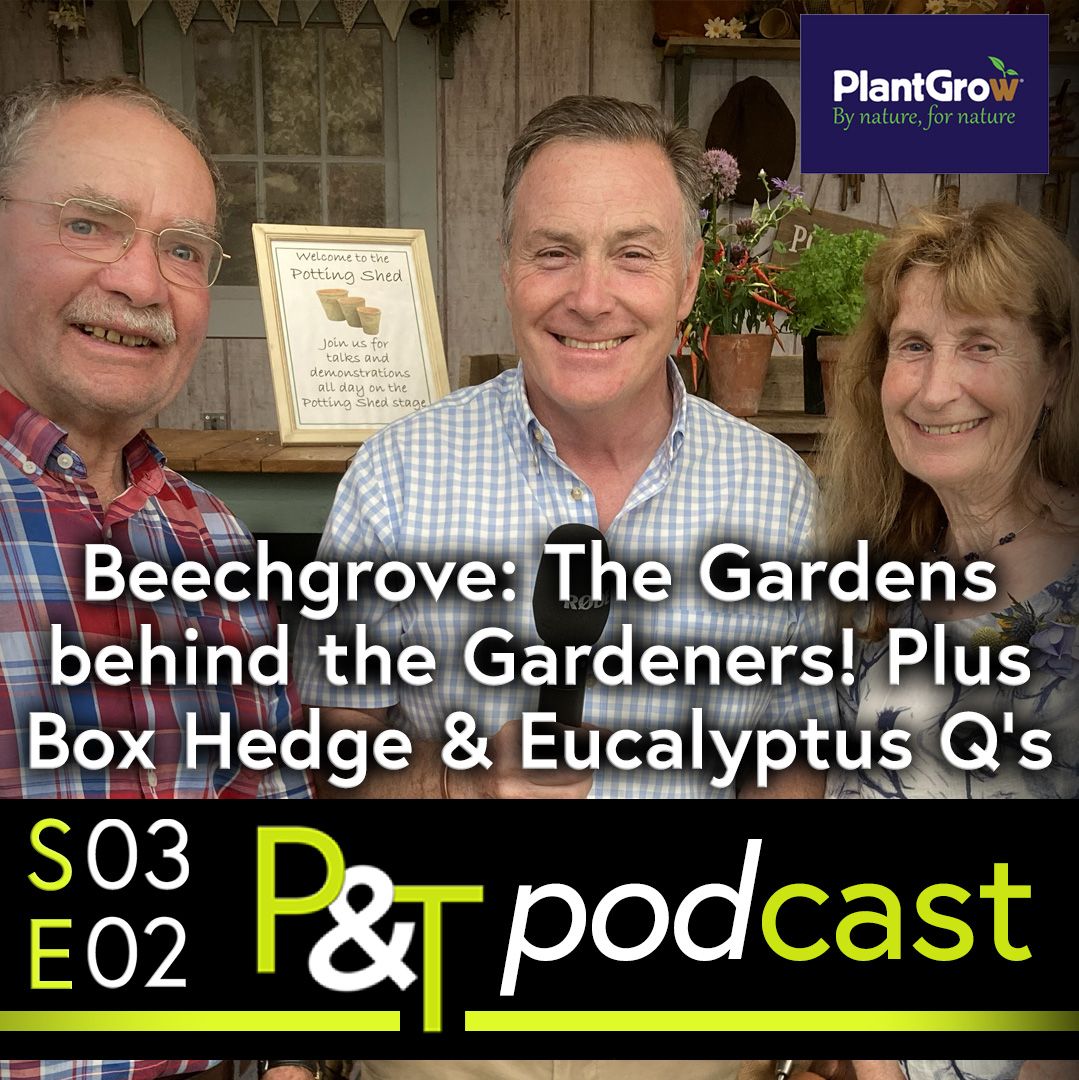 George Anderson, Martin Fish and Carole Baxter standing on the Potting Shed Stage with the text Beechgrove The Gardens behind the Gardeners Plus Box Hedge and Eucalyptus Qs in white and the PT logo and episode details in green and white.