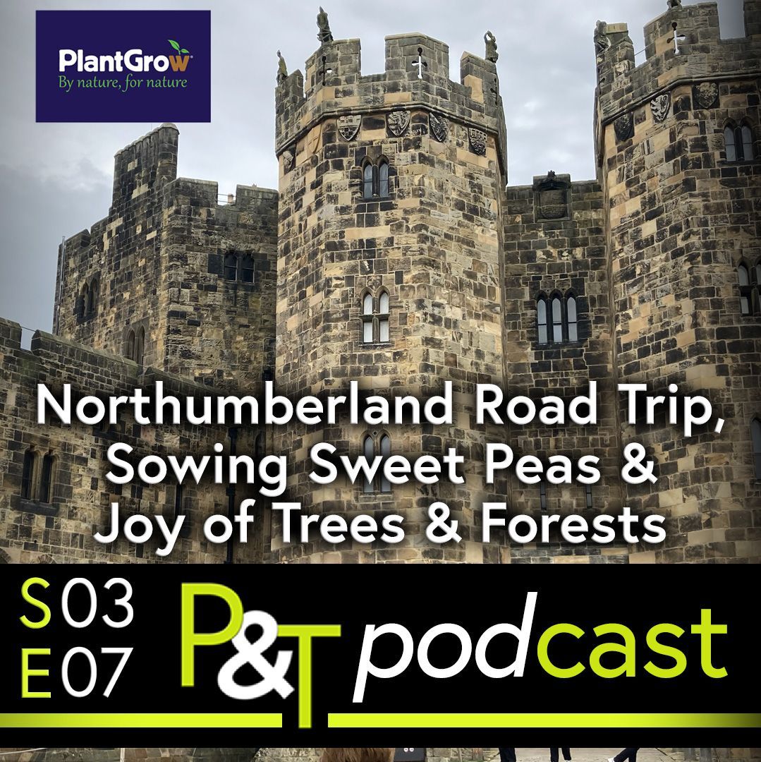 A Northumbrian castle in greys and creams against a light grey sky. The text Nortumberland Road Trip, Sowing Sweet Peas and Joy of Trees and Forests in white text plus the details of the Pots and Trowels podcast episode number and logo in green and white. 