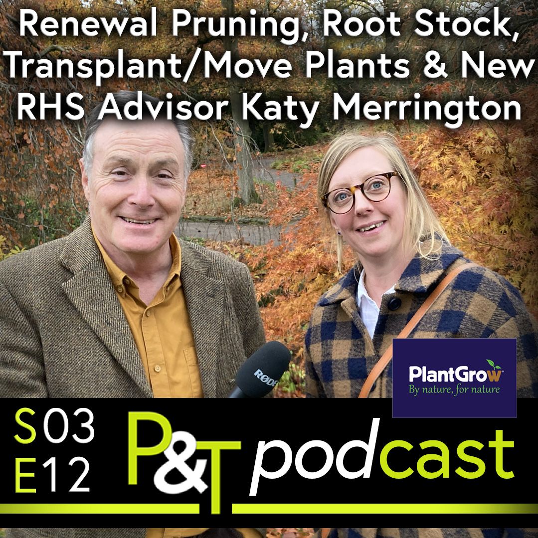 Martin Fish and Katy Merrington, Martin is holding a black stick microphone with the word Rode on it and pointing it at Katy. Both have happy looks on their faces - they're standing in the garden at RHS Harlow Carr. The text Renewal Pruning, Root Stock, Transplant slash Move plants and new RHS garden advisor Katy Merrington is in small white text at the top of the image. At the bottom of the image is the PT logo and podcast episode details in green and white. 