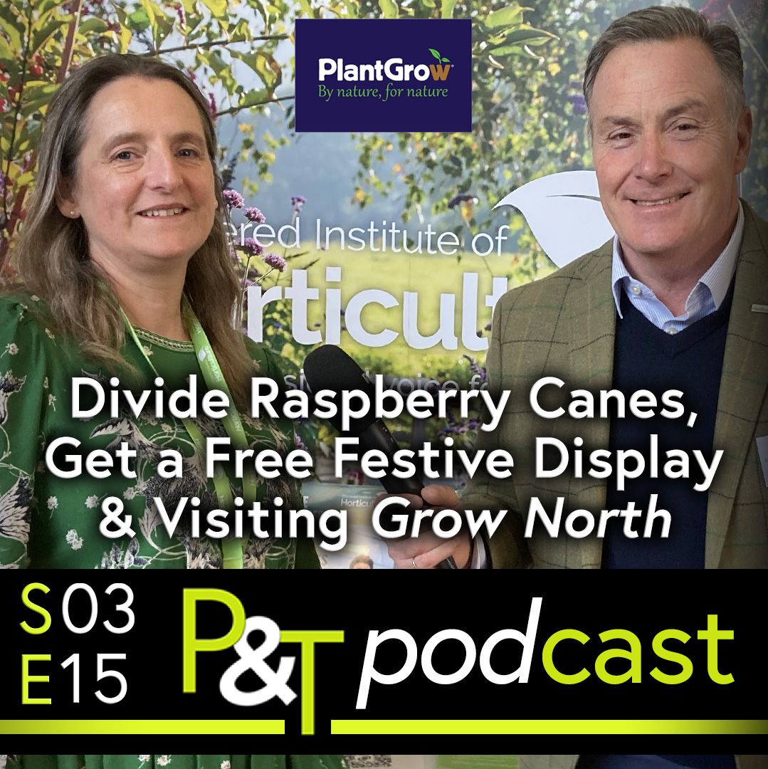Helena Glassup and Martin Fish stand in front of the Chartered Institute of Horticulturalists display at the Grow North Event. Martin holds a stick microphone. The white text Divide Raspberry Canes, Get a Free Festive Display & Visit to Grow North are across the middle of the image and at the bottom are the PT logo and episode details in green and white over a black background. 