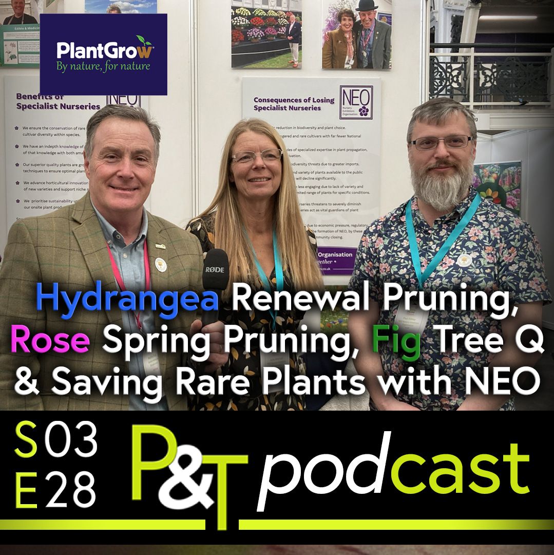 Martin and two people from NEO the Nursery Exhibitors Organisation standing in front of their display at the Garden Media Event, The text below them is Hydrangea Renewal Pruning, Rose Spring Pruning Fig Tree Question and Saving Rare Plants with NEO. at the very bottom of the image is the PT logo and episode details showing it's S03 and Ep28 in green and white on a black background.