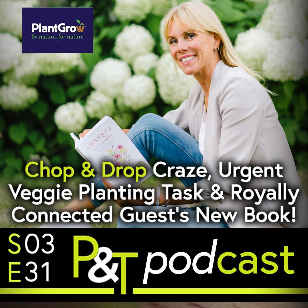 Publicity photo of Mary Kelava sitting reading her book in a garden. There are what appear to be hydrangea behind her and she's on the grass with her knees up in front of her angled towards the left of frame with her face looking towards us. She's wearing jeans and a pale top and has blonde hair. The title of the podcast is on the bottom  of the image in text along with the green PT logo on a black stripe background