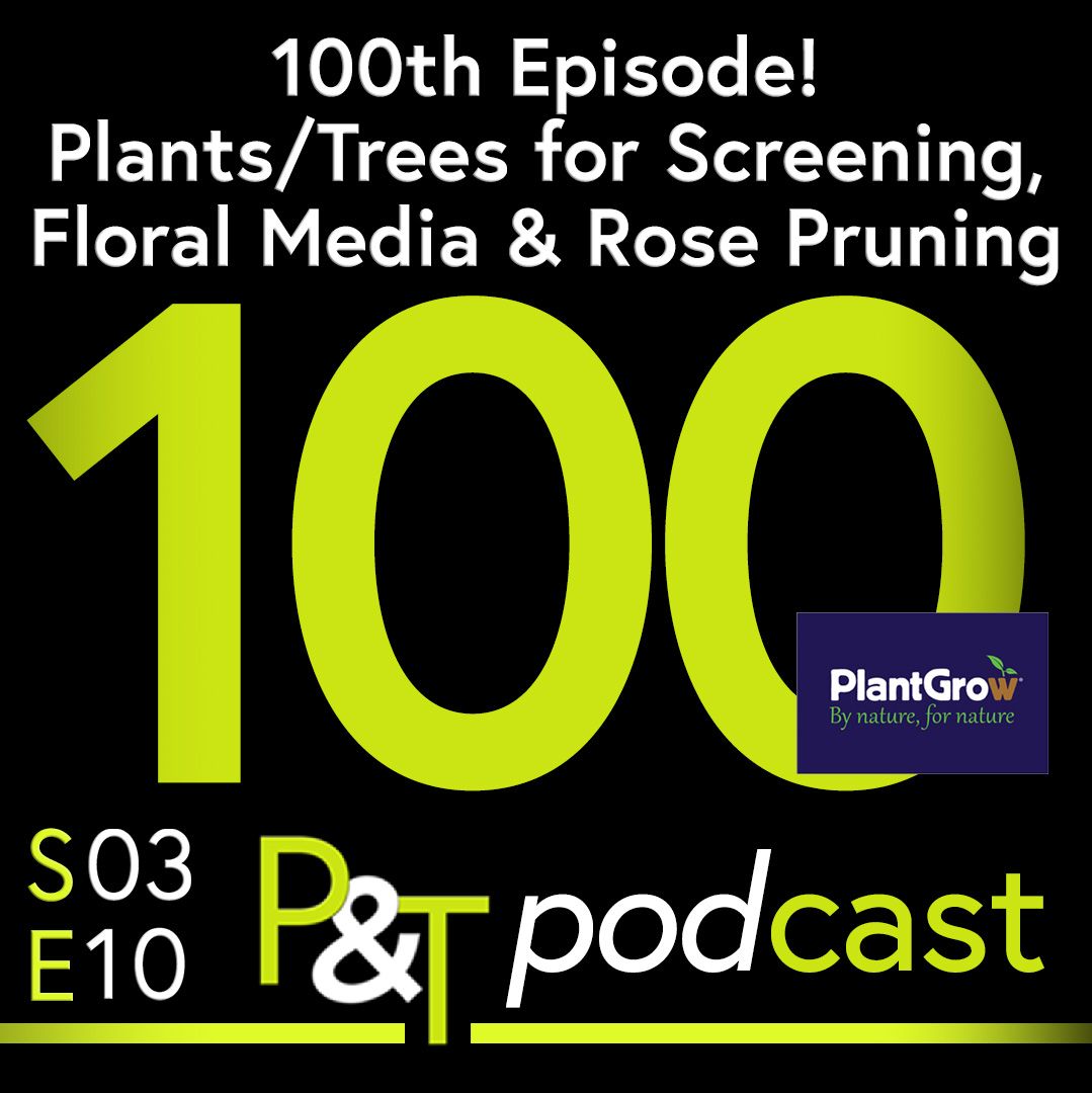 A large 100 in green text on a black background. There's smaller white text at the top that says 100th Episode! Plants trees for screening, floral media and rose pruning. At the bottom is the PT logo and episode information in green and white. 
