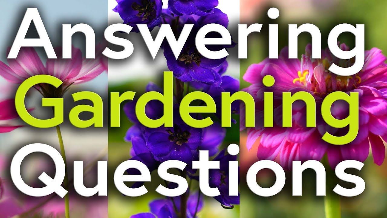 close ups of three different flowers (pink purple and pink) all obscured by large text in green and white saying Answering Gardening Questions