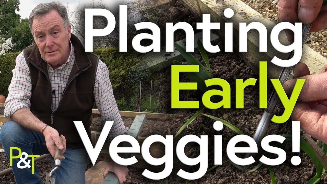 Martin in the veg plot with the text Planting Early Veggies in green and white