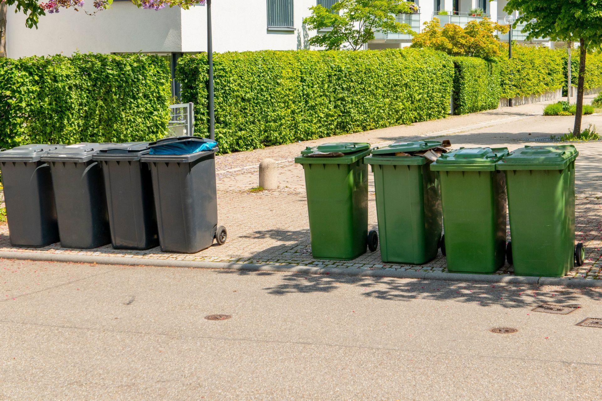 Trash Bin Cleaning in Hutto & Round Rock, TX | Texas Bin Worx