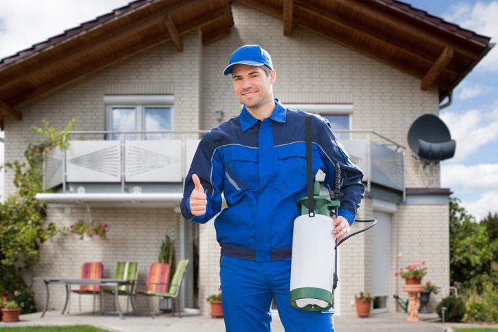 Consistent Pest Control – A Luxury or a Necessity?