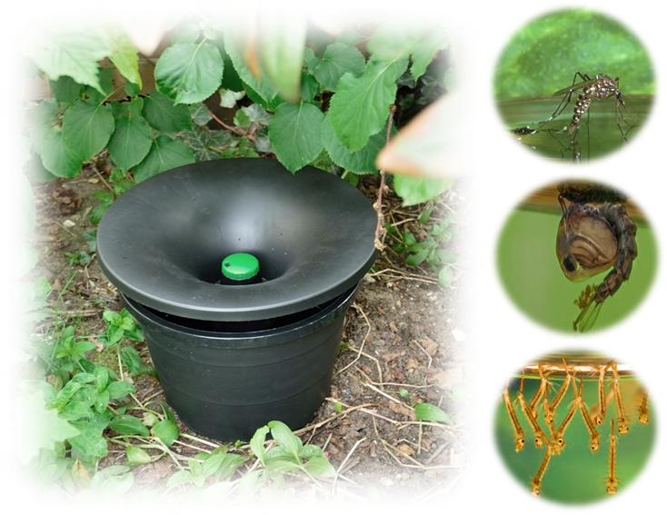 A black bucket with a green cap on top of it
