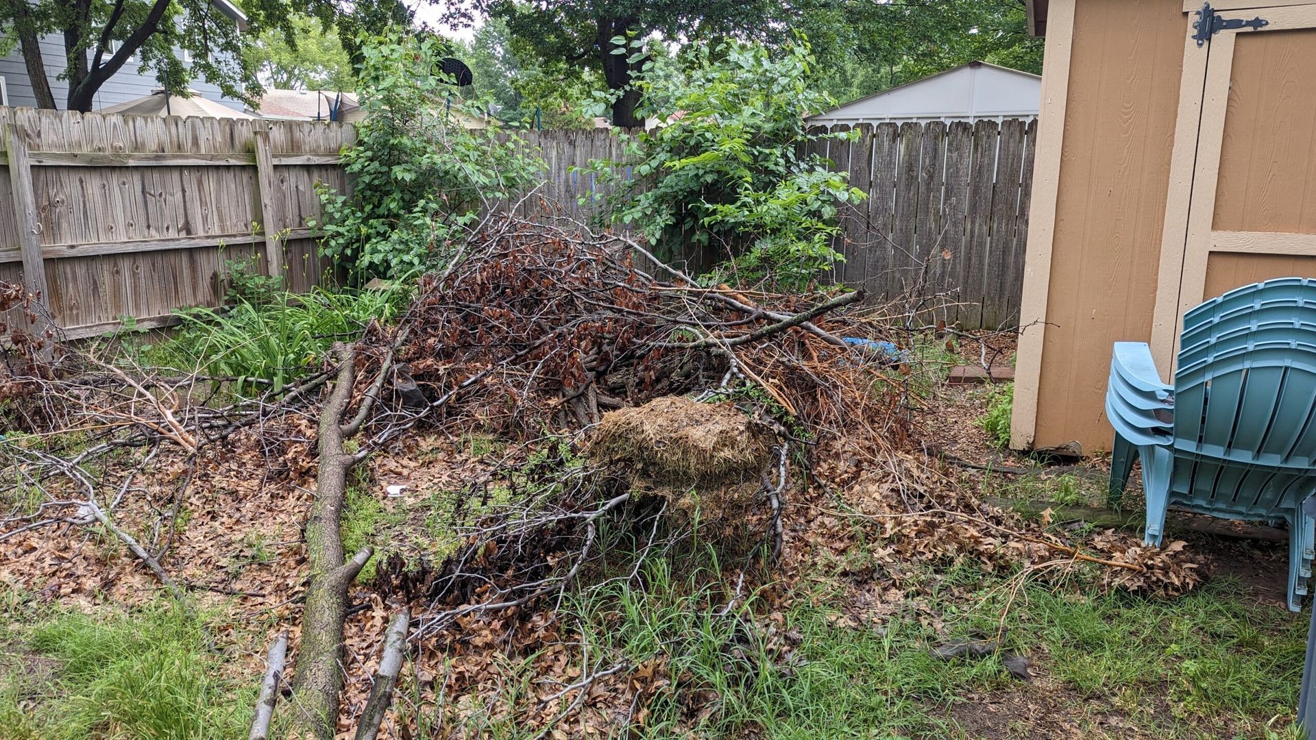 A pile of branches and leaves in a backyard next to a shed.