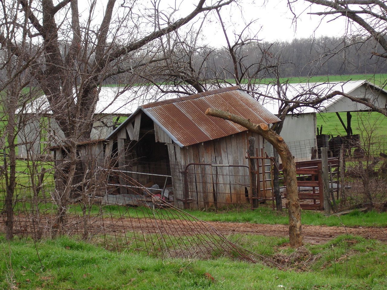 An old barn with a rusty tin roof sits in the middle of a grassy field