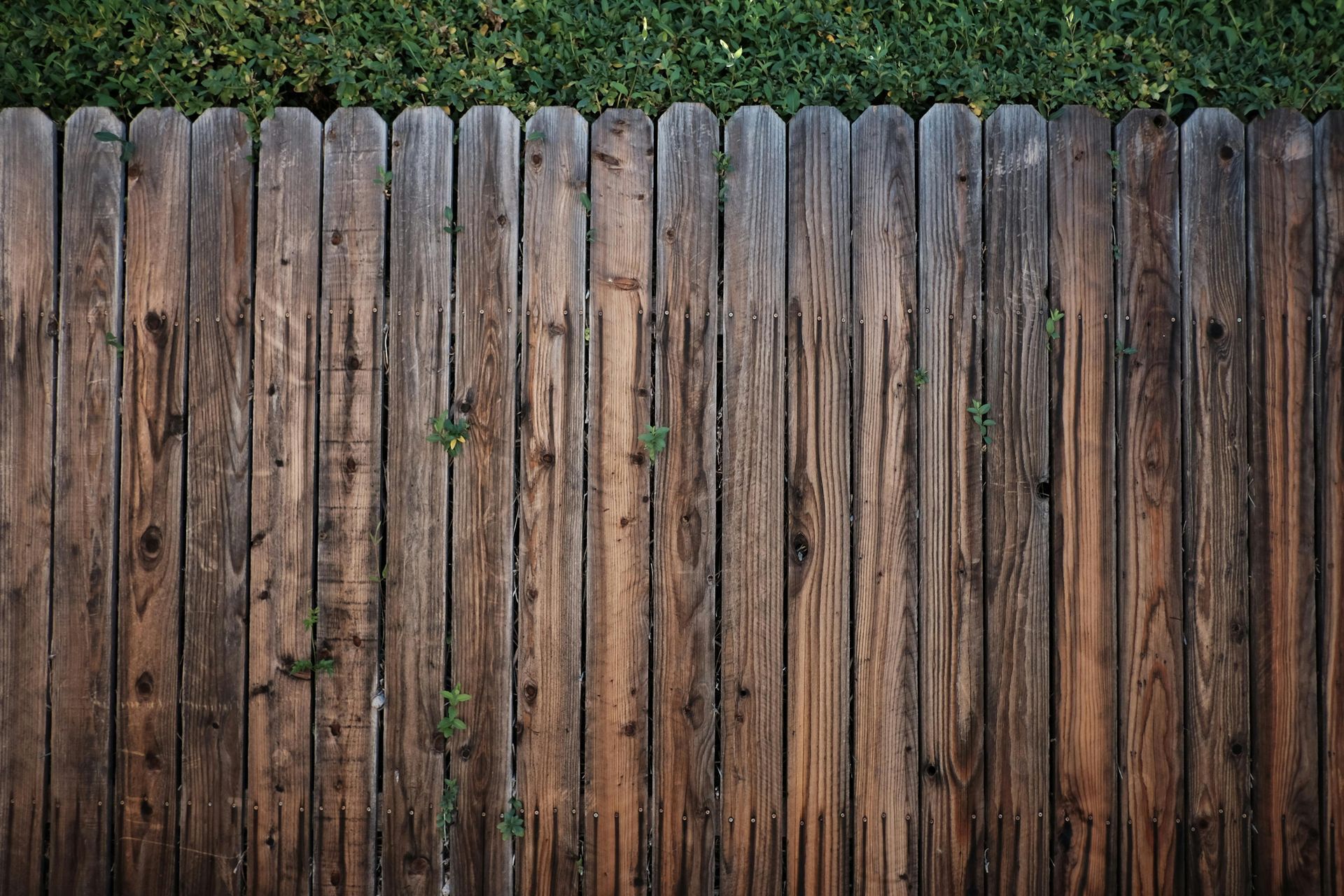 A close up of a wooden fence with a hedge in the background.