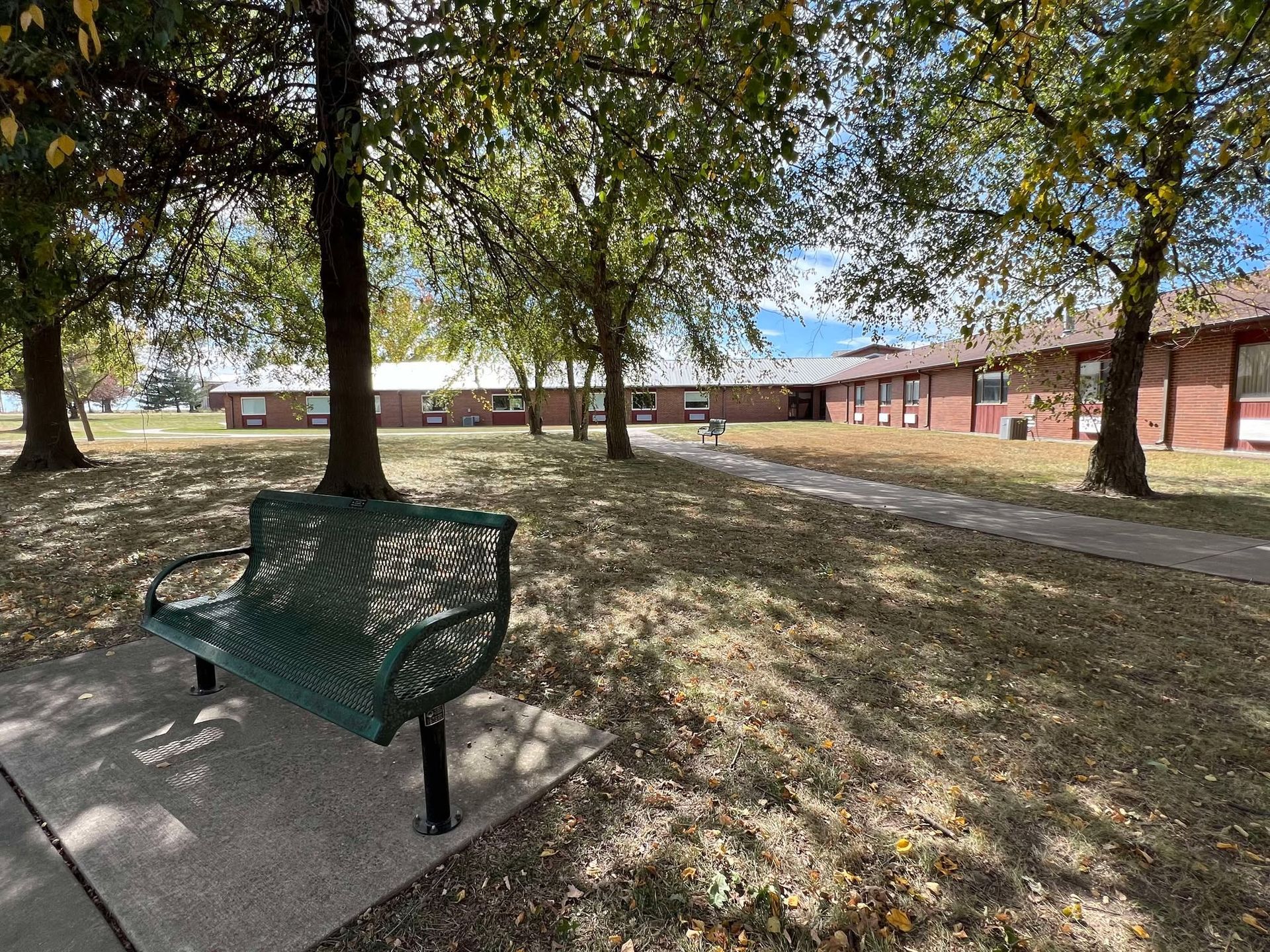 A park bench is sitting under a tree in a park.