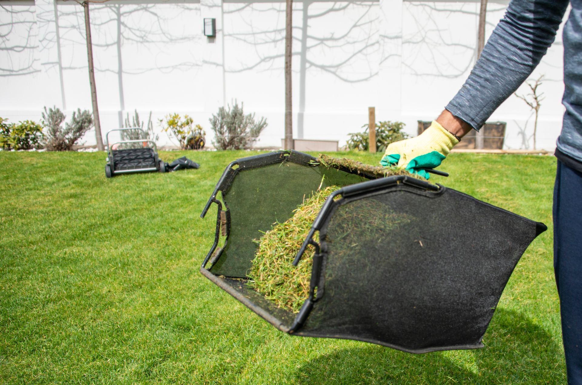 Person Holding Bag Of Grass - Cincinnati, OH - Nature Plus Lawn & Irrigation