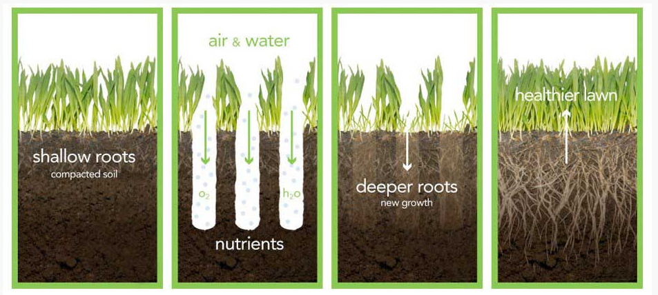 Roots Of Lawn - Cincinnati, OH - Nature Plus Lawn & Irrigation