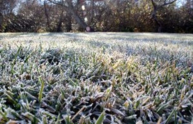 Frozen Grass - Cincinnati, OH - Nature Plus Lawn & Irrigation