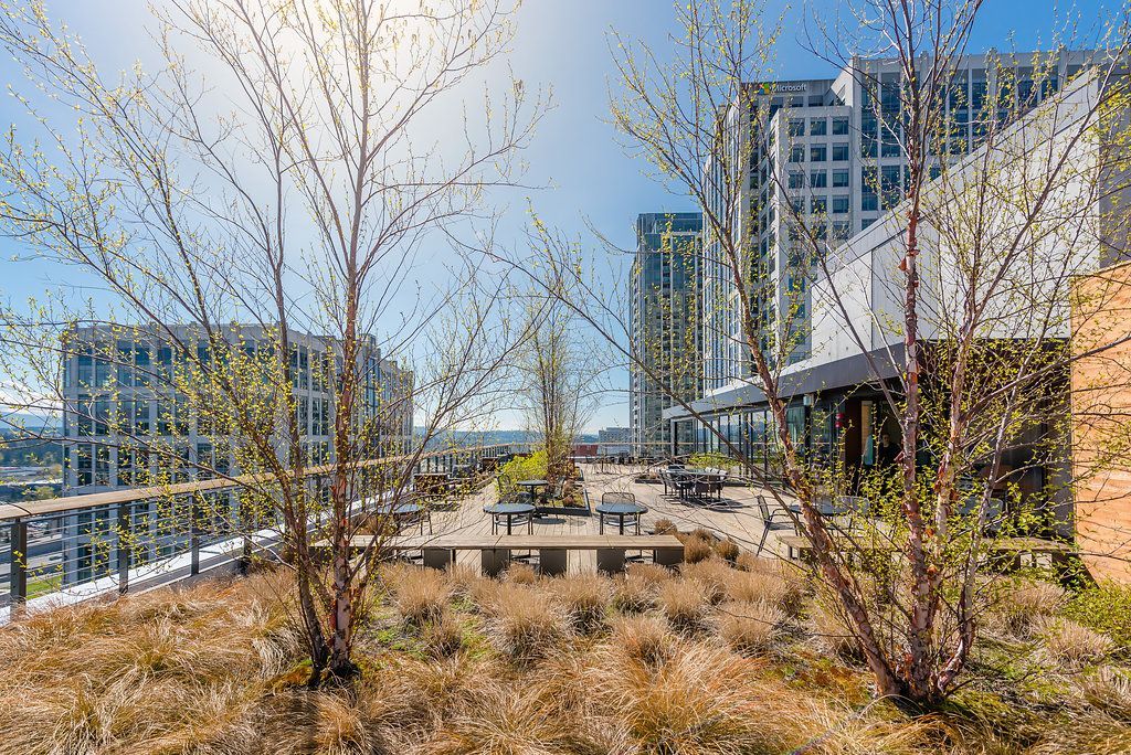 A rooftop garden with trees and benches in front of a building.