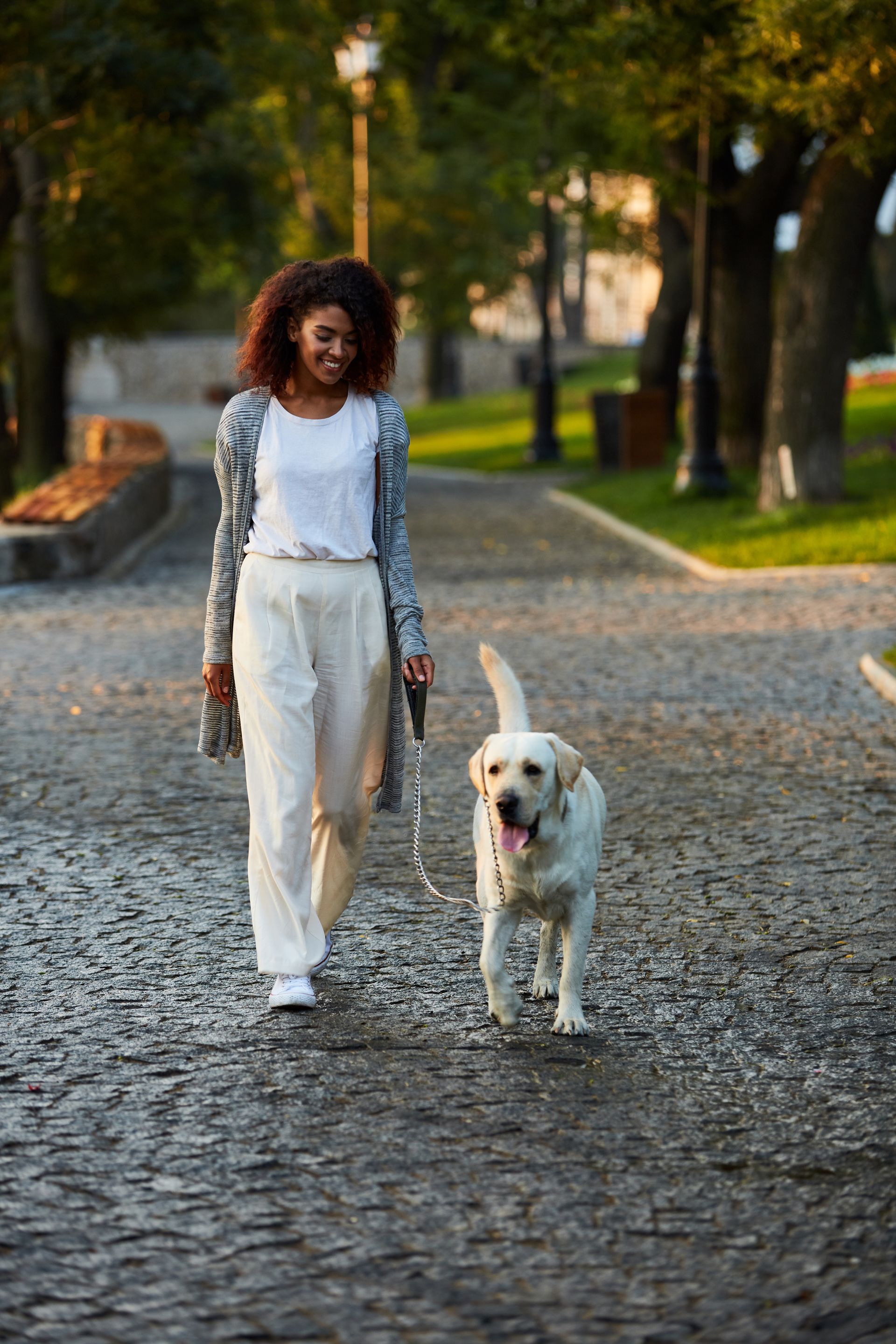 A woman is walking a dog on a leash in a park.
